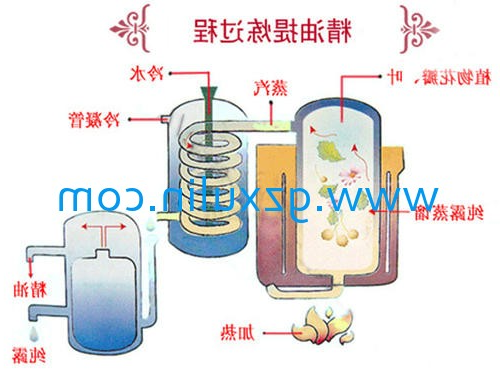 广州星空官方网站入口
精细化工有限公司